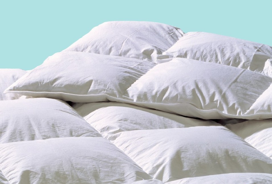 Highland Feather Richmond Avant Garde Synthetic Duvet Down Highland Feather Richmond Avant Garde Synthetic Duvet